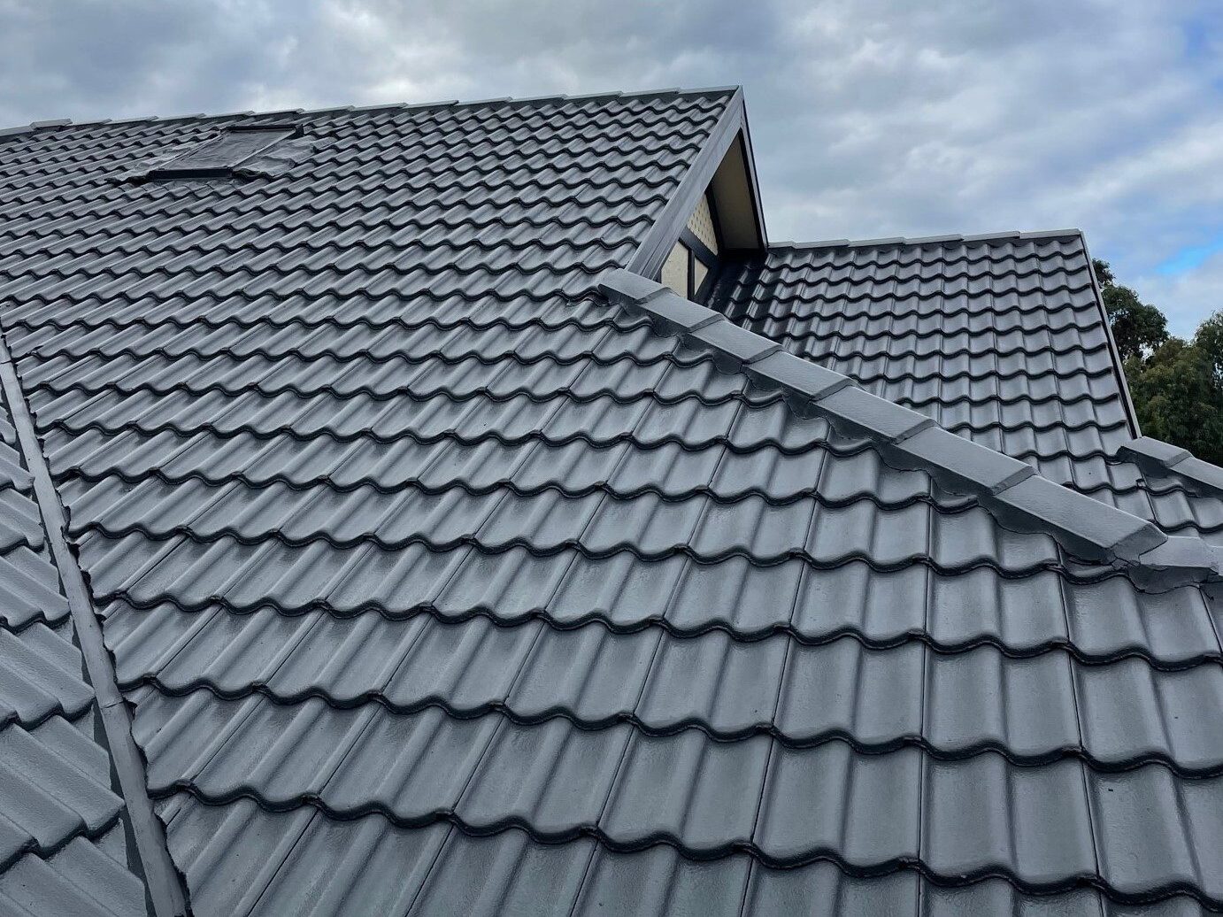 wTrusted house painters Wellington for Residential and Commercial Projects