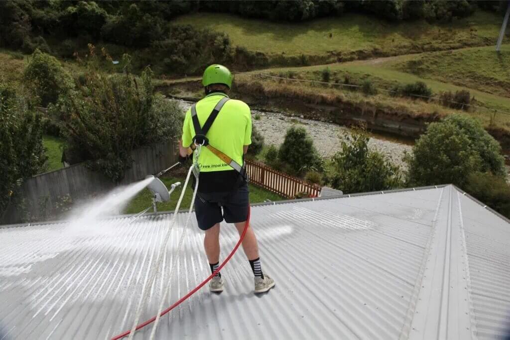Professional Roof Painting Services