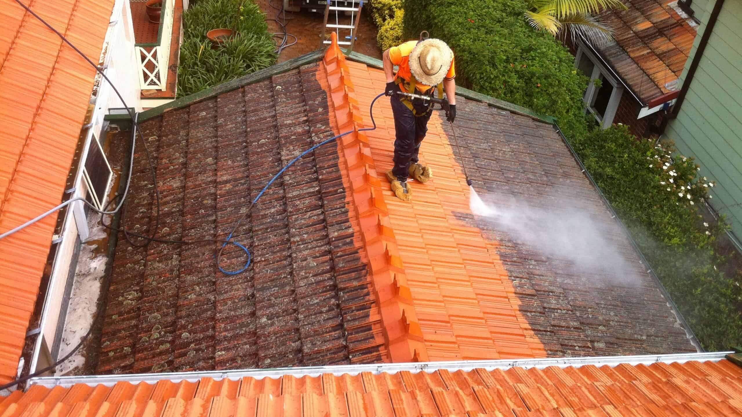 Professional Roof Painting Services