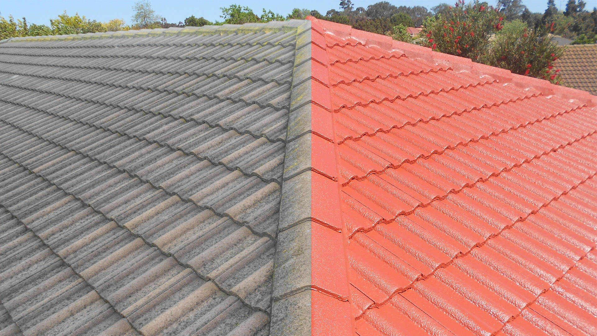 Professional Roof Painting Services