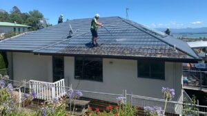 Professional Roof Painting Services