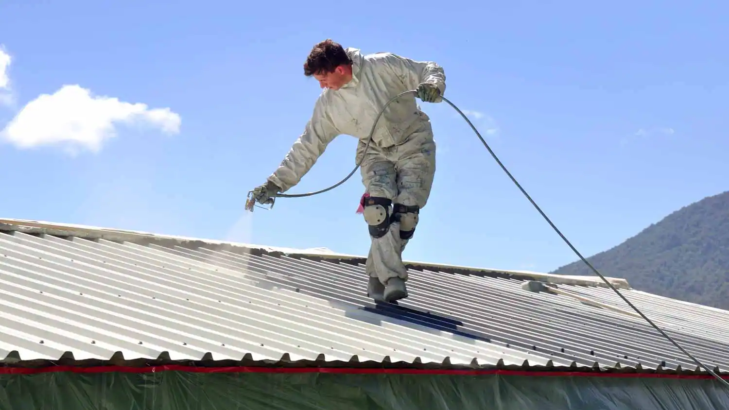 Everything To Know About Painting Your Roof